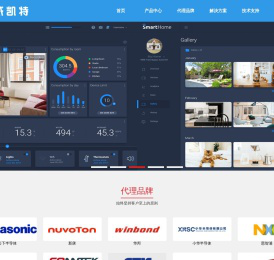 智能微控制处理器解决方案供应商