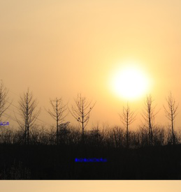 我的图片imgsina.com