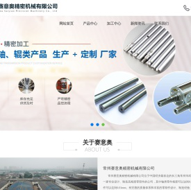常州赛意奥精密机械有限公司