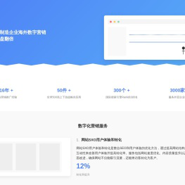 海外数字营销专家