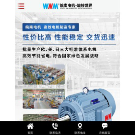 重庆皖能电机有限公司