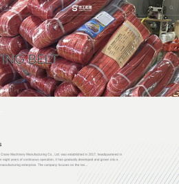 保定世工起重机械制造有限公司Manual