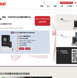 气体质量流量计