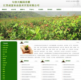 落羽杉,墨西哥落羽杉,北美落羽杉