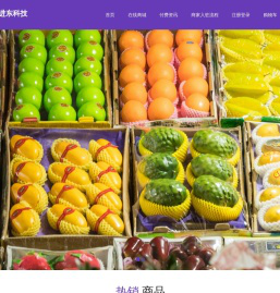 进东(北京)科技有限公司