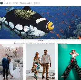 星矢规划素材库