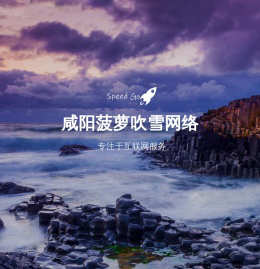 咸阳菠萝吹雪网络