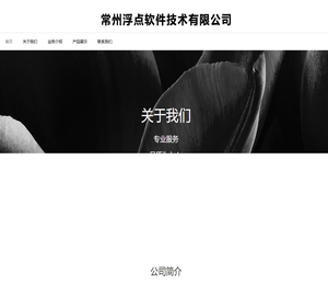 常州浮点软件技术有限公司
