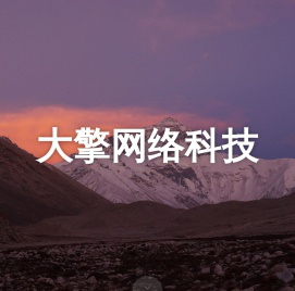 大擎网络科技