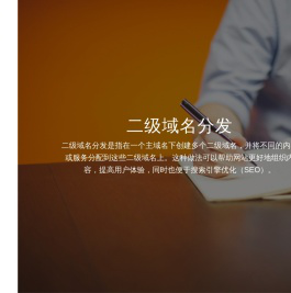 二级域名分平台