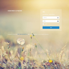 榕拓SSL证书签发系统