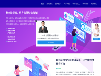 李国凯跨境电商独立站