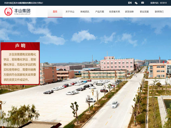 江苏丰山集团股份有限公司