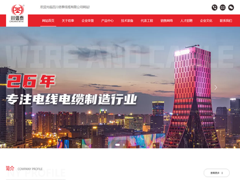 四川信泰线缆有限公司