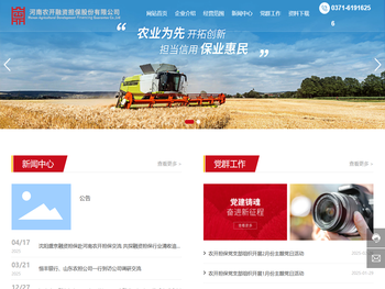 河南农开融资担保股份有限公司