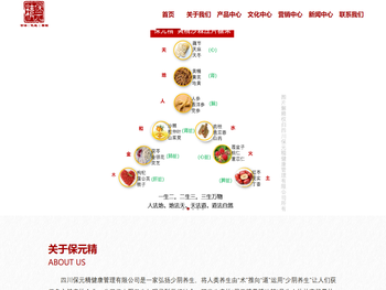 四川保元精健康管理有限公司