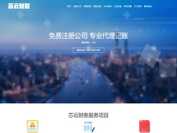 芯云财务
