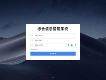 综合信息管理系统