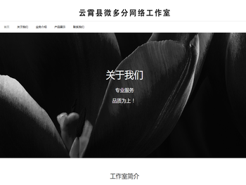 云霄县微多分网络工作室