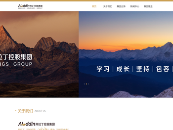 阿拉丁控股集团有限公司