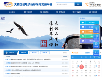 天和国咨电子招标采购交易平台