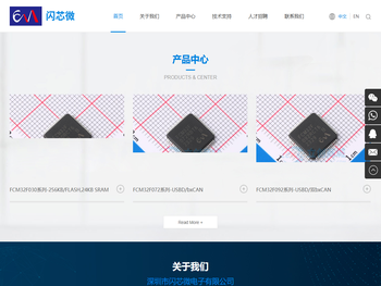 深圳市闪芯微电子有限公司