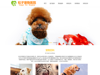 杭州24小时宠物医院