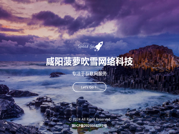 咸阳菠萝吹雪网络科技