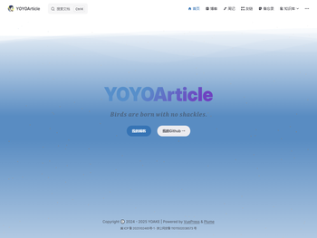 YOYOArticle