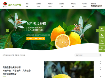 安岳有机柠檬.中国