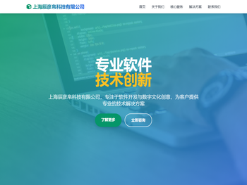 上海辰彦帛科技有限公司