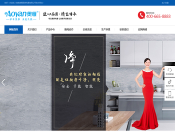 燃气灶,抽烟机,热水器生产厂家