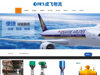 成飞物流