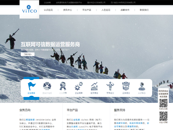 重庆远见信息技术有限公司