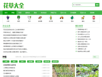 植物百科,花卉大全,绿植盆栽