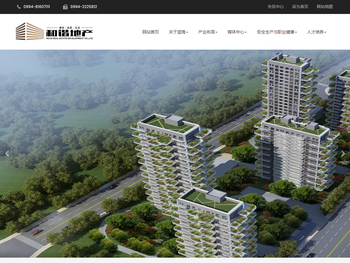 新疆和谐房地产开发有限公司