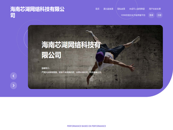 海南芯湖网络科技有限公司