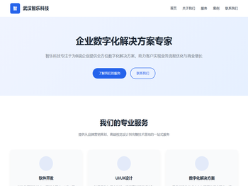 武汉智乐科技有限公司