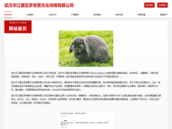 武汉市江夏区梦荣菁文化传媒有限公司