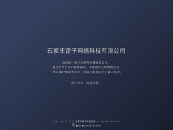 石家庄雷子网络科技有限公司