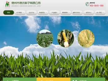 德州市德农种子有限公司