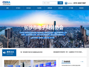 长沙市电子商务协会