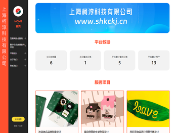 上海柯淳科技有限公司