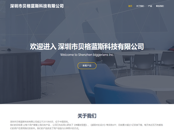 深圳市贝格蓝斯科技有限公司