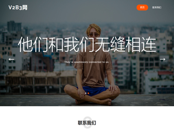 V2B3网