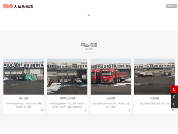 新疆大动脉物流有限公司