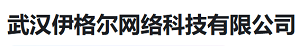 武汉伊格尔网络科技有限公司