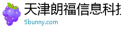 天津朗福信息科技有限公司