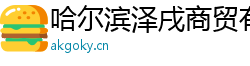 哈尔滨泽戌商贸有限公司