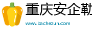 重庆安企勒传媒有限公司